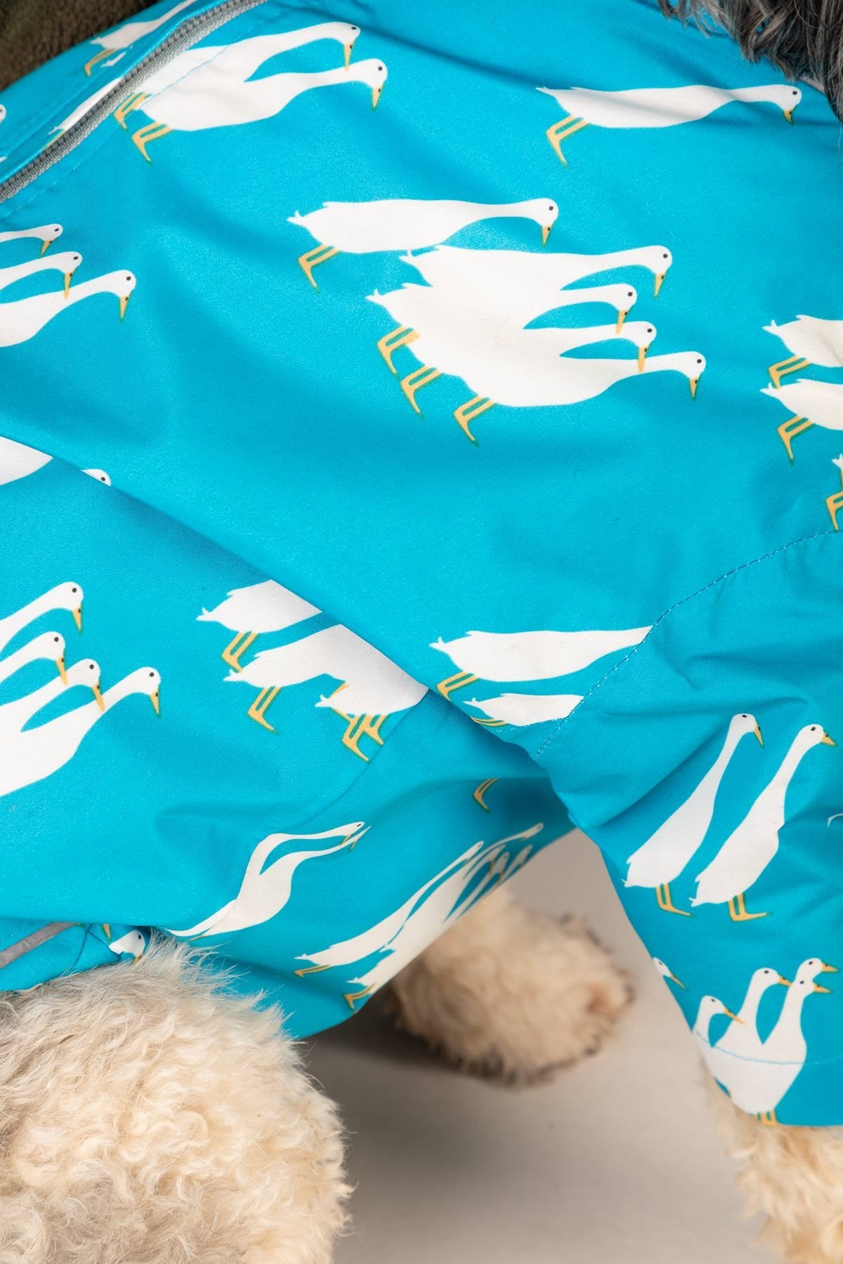 Rydale Patterned Dog Raincoats - Yapham