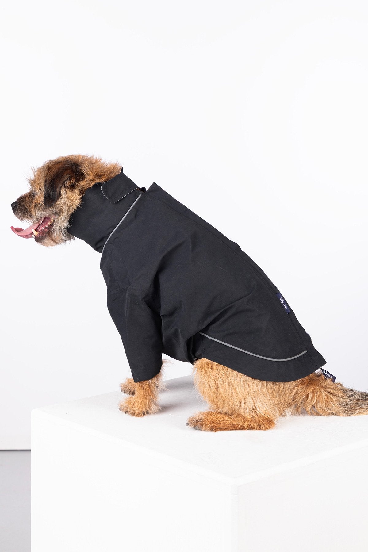 Rydale Dog Raincoats - Yapham