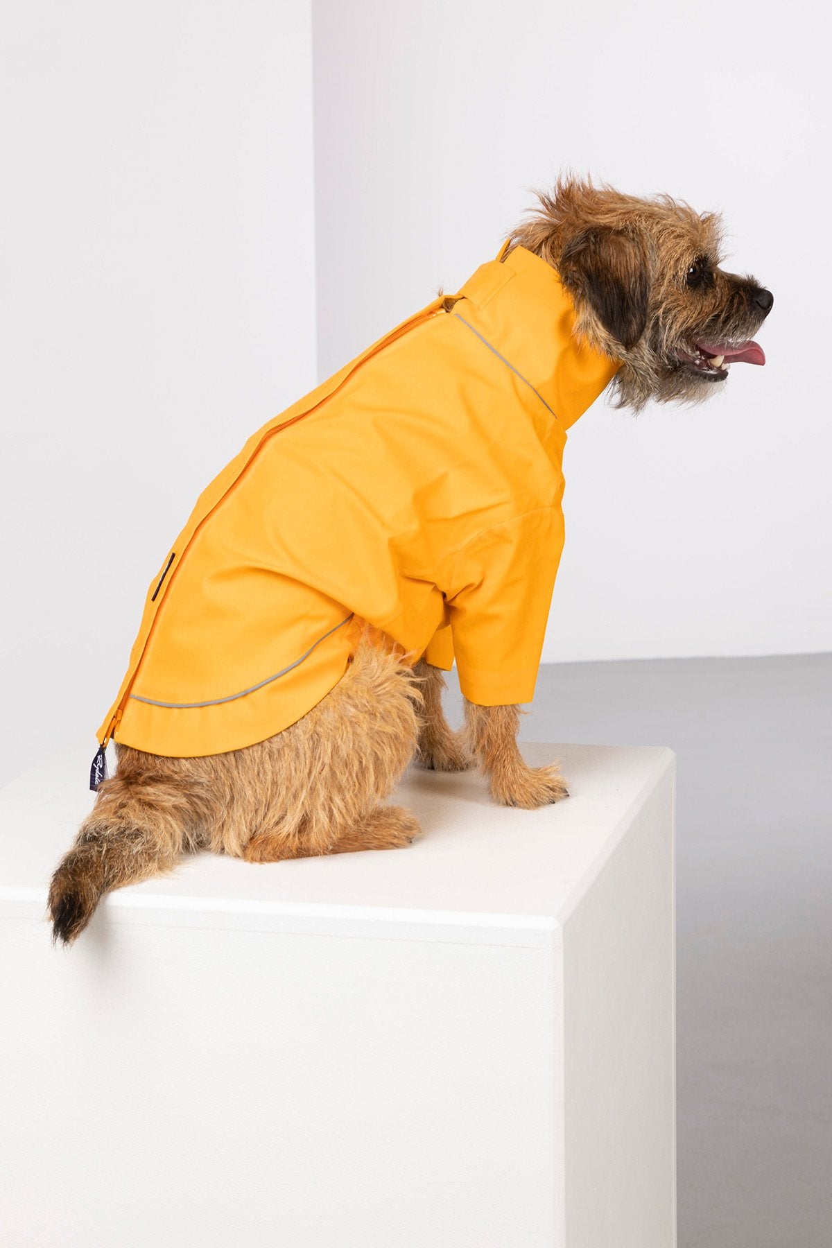 Rydale Dog Raincoats - Yapham