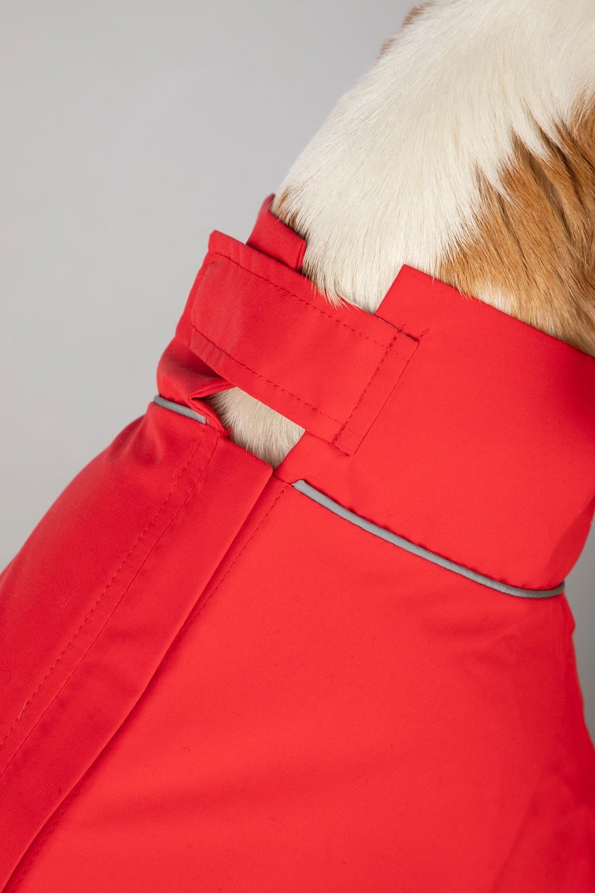 Rydale Dog Raincoats - Yapham