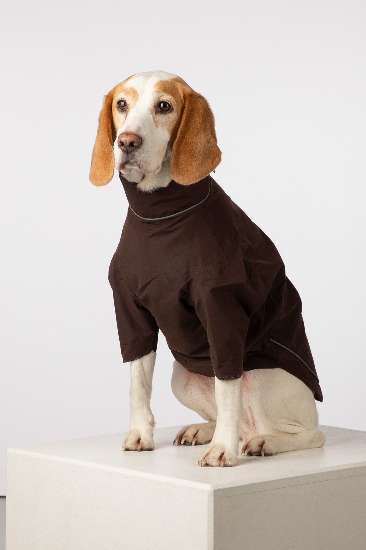 Rydale Dog Raincoats - Yapham