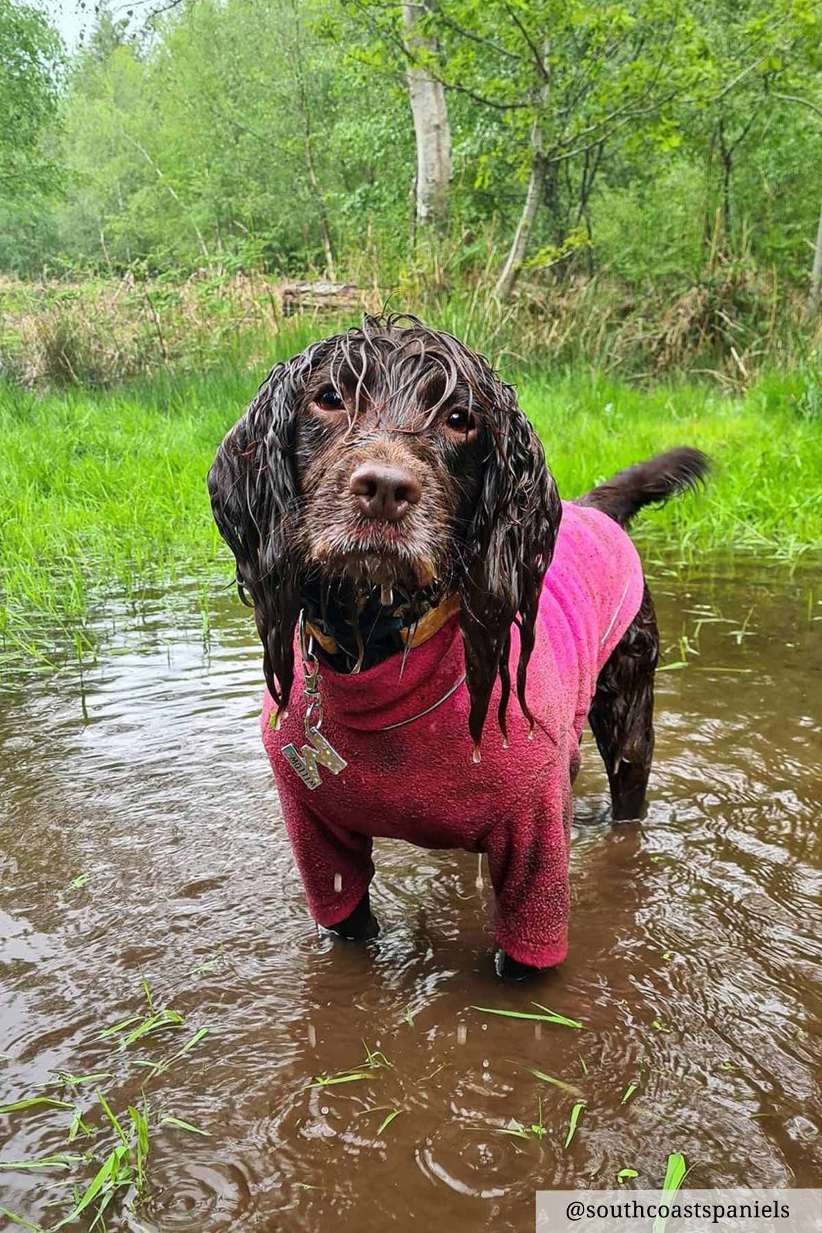 Rydale Fleece Dog Jumper - Yapham