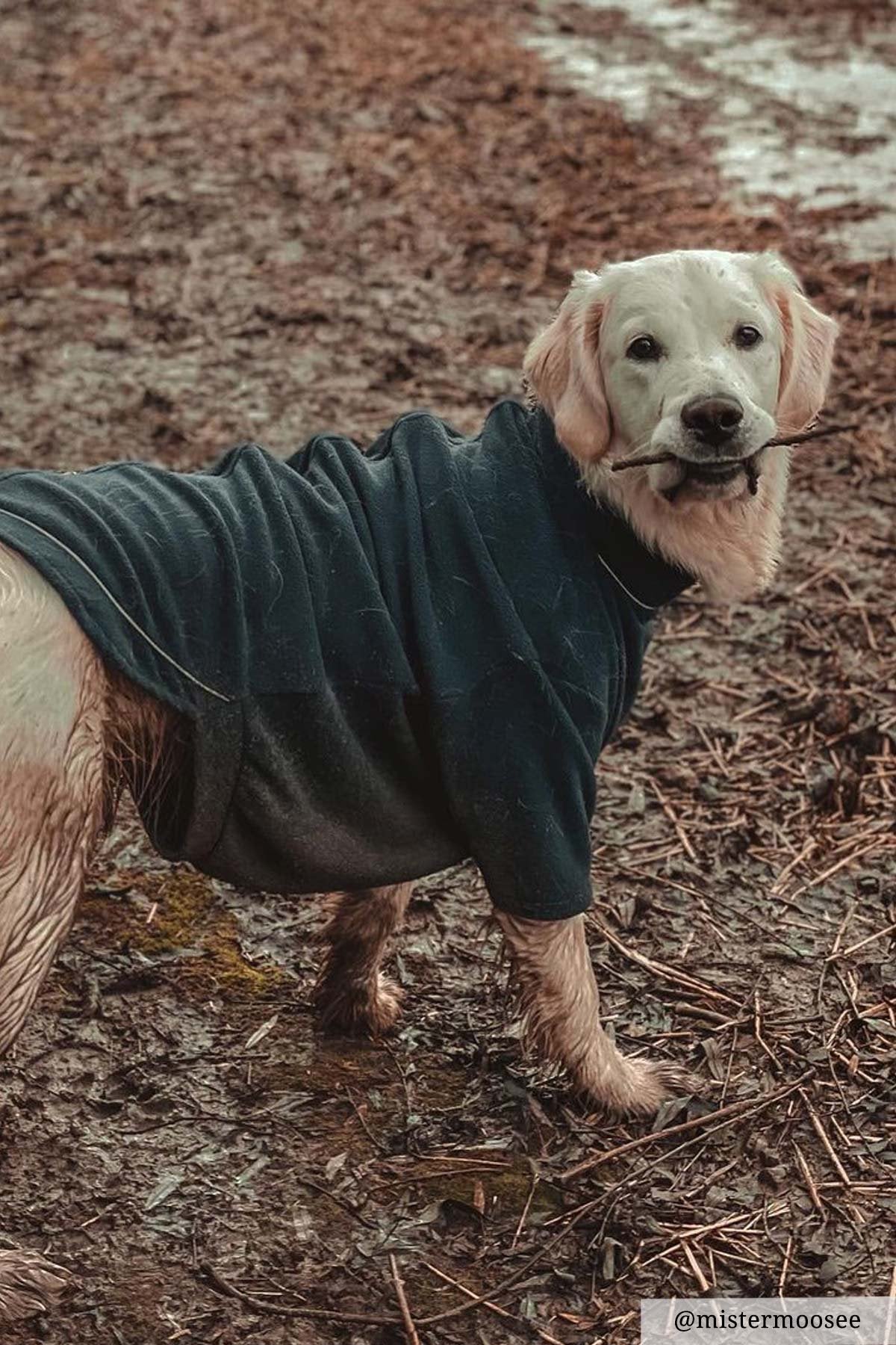 Rydale Fleece Dog Jumper - Yapham