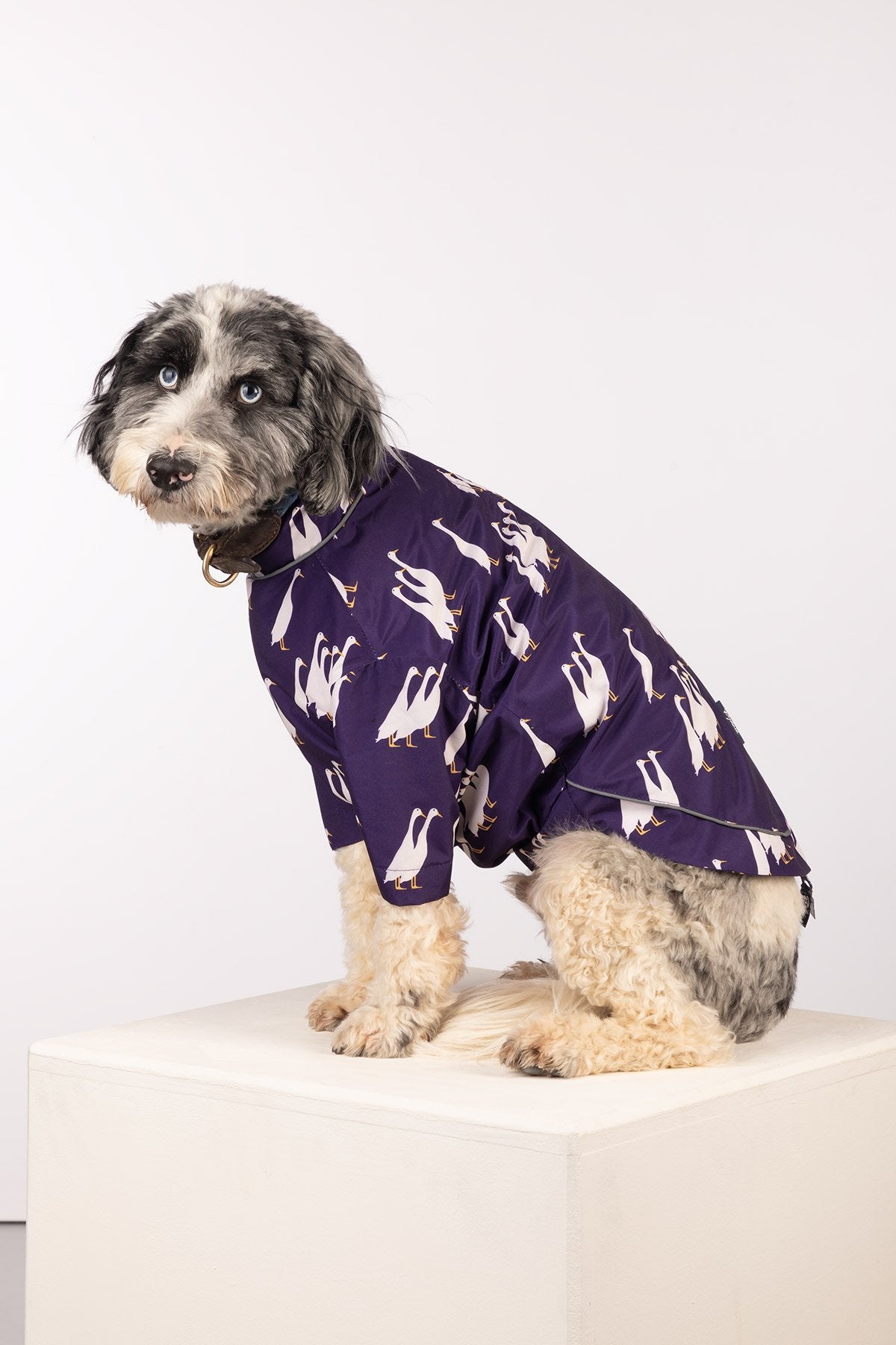 Rydale Patterned Dog Raincoats - Yapham
