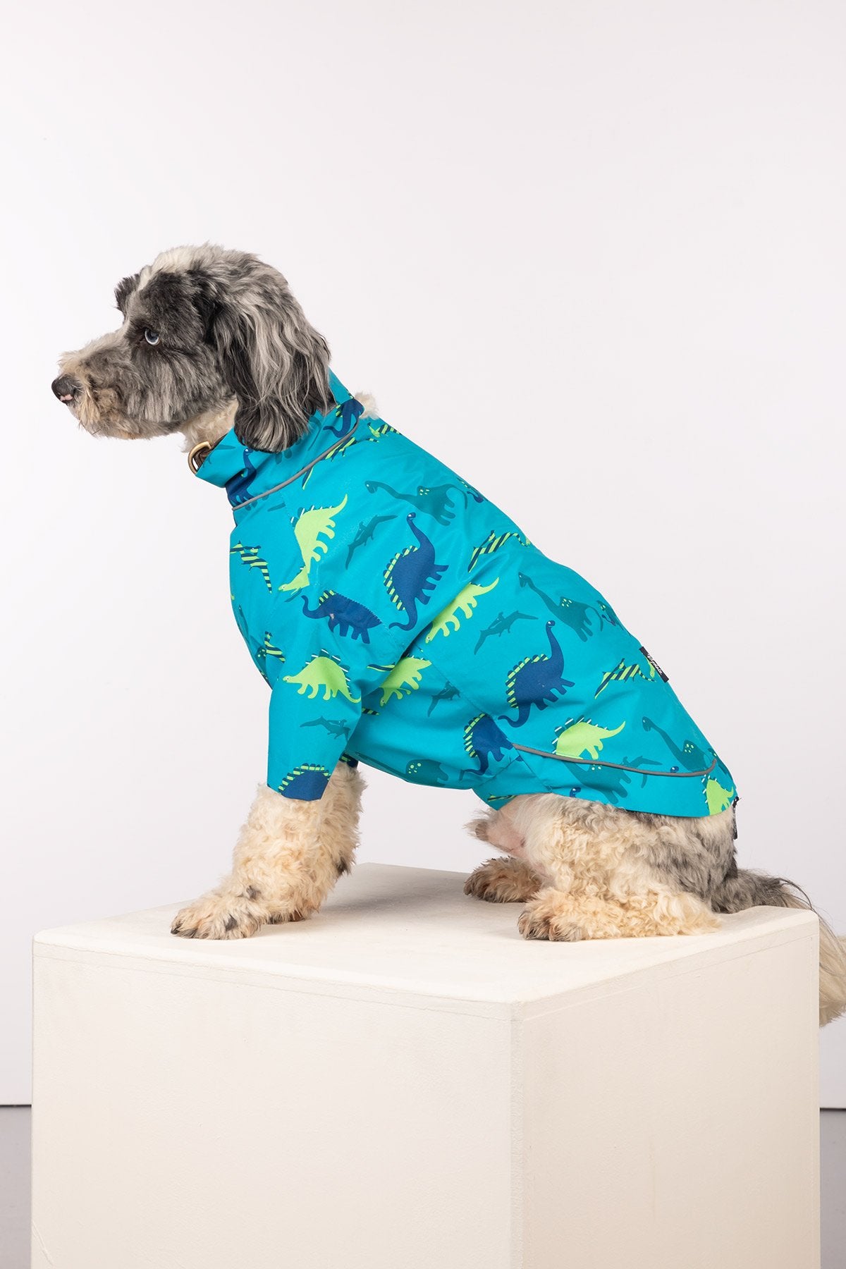 Rydale Patterned Dog Raincoats - Yapham