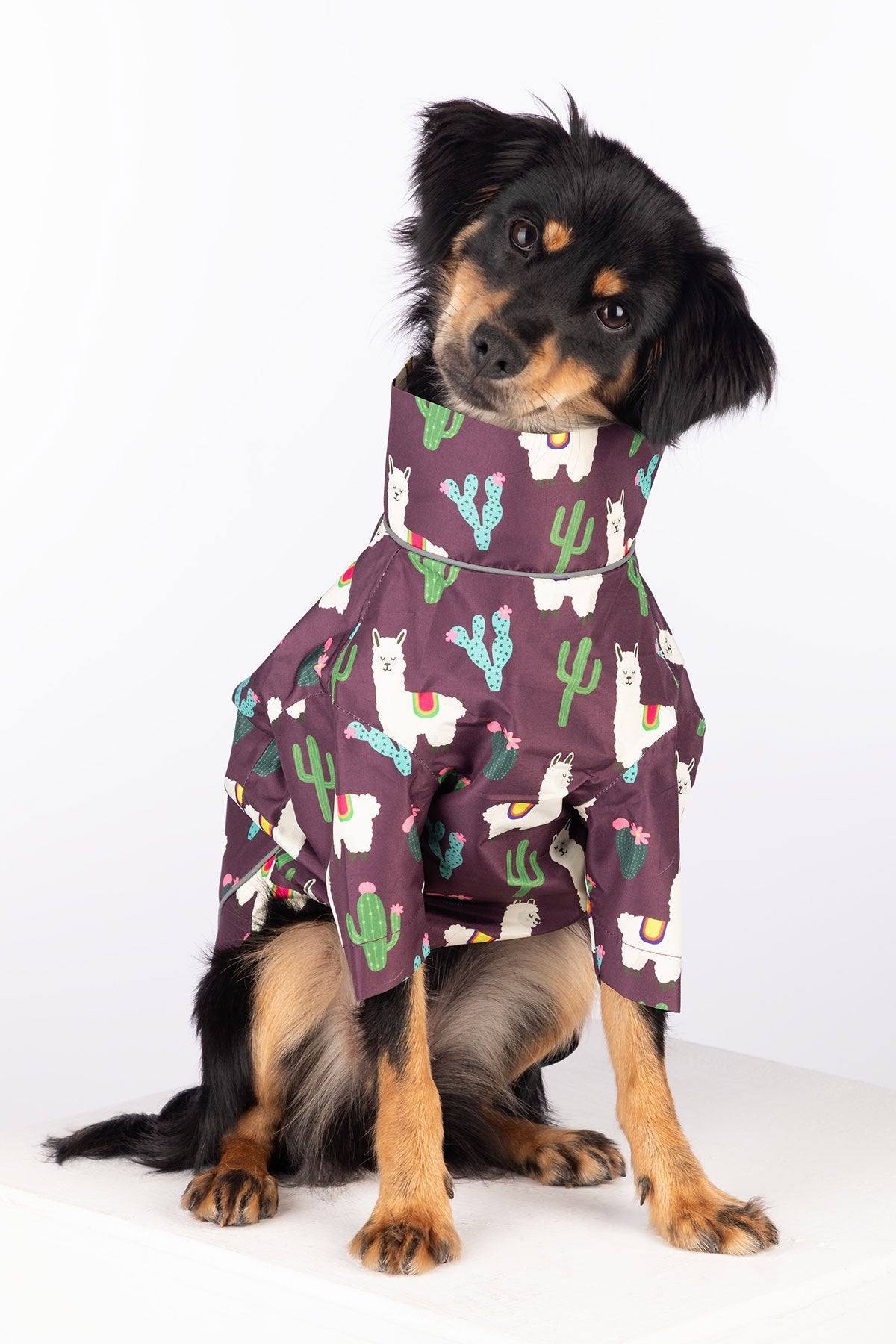 Rydale Patterned Dog Raincoats - Yapham