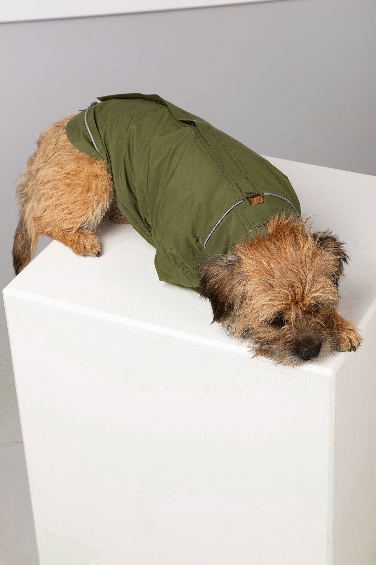 Rydale Dog Raincoats - Yapham