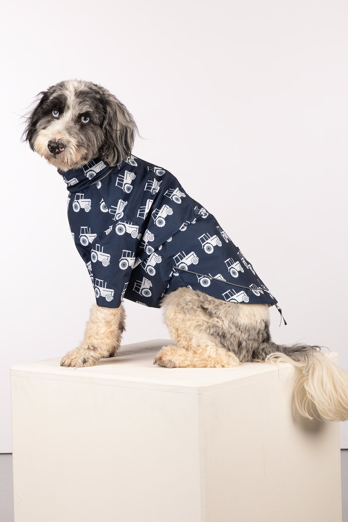 Rydale Patterned Dog Raincoats - Yapham