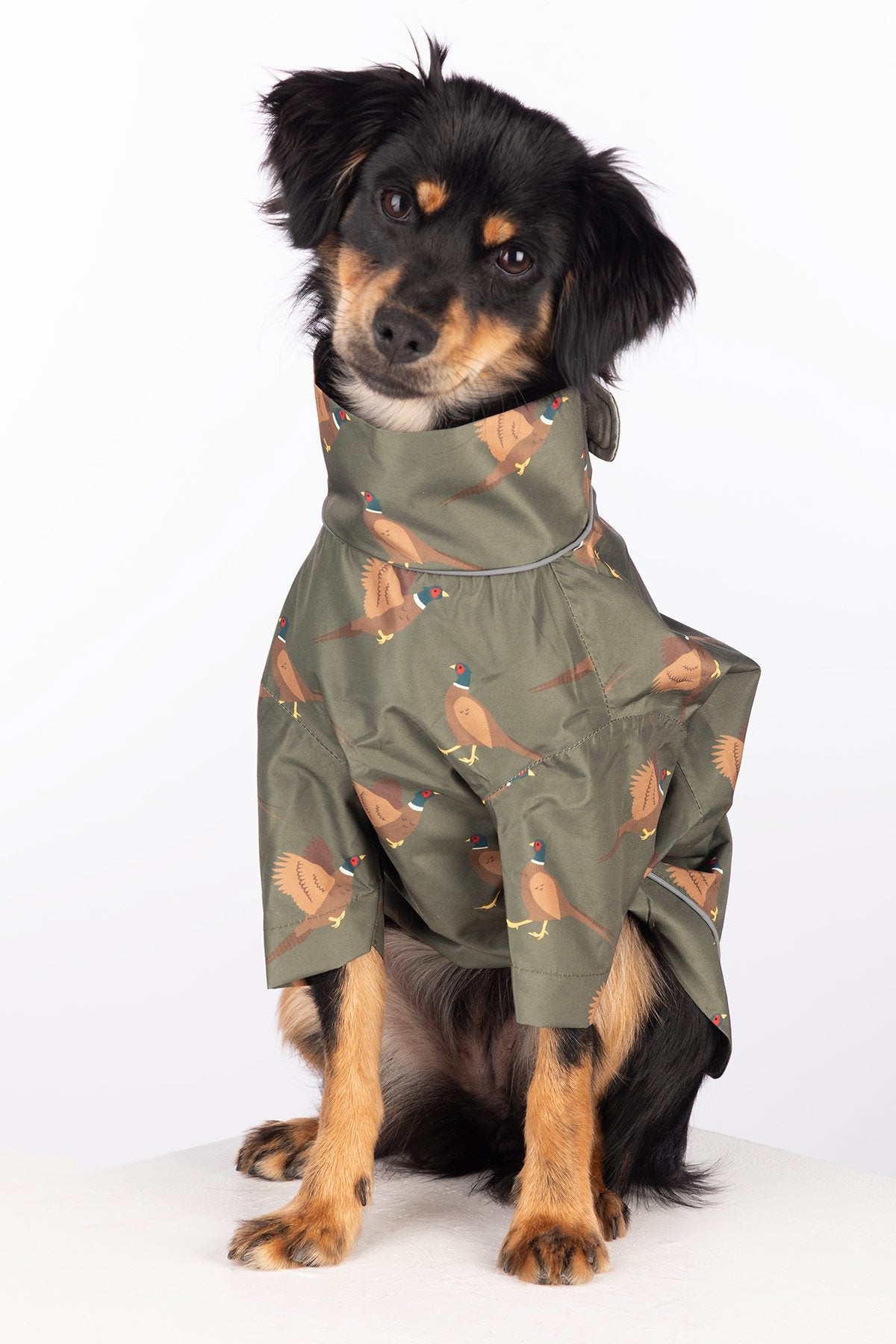 Rydale Patterned Dog Raincoats - Yapham