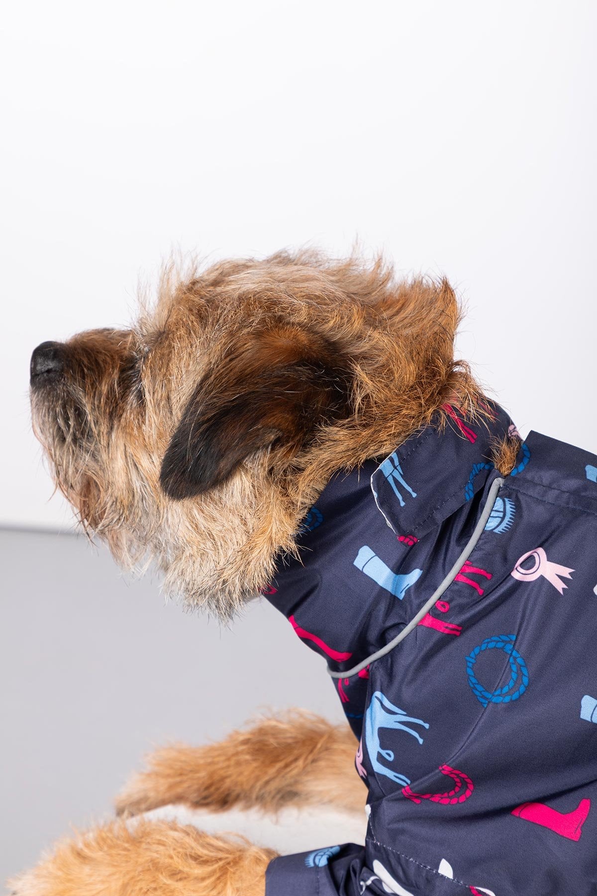 Rydale Patterned Dog Raincoats - Yapham