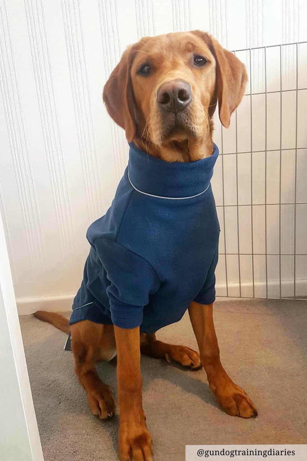 Rydale Fleece Dog Jumper - Yapham
