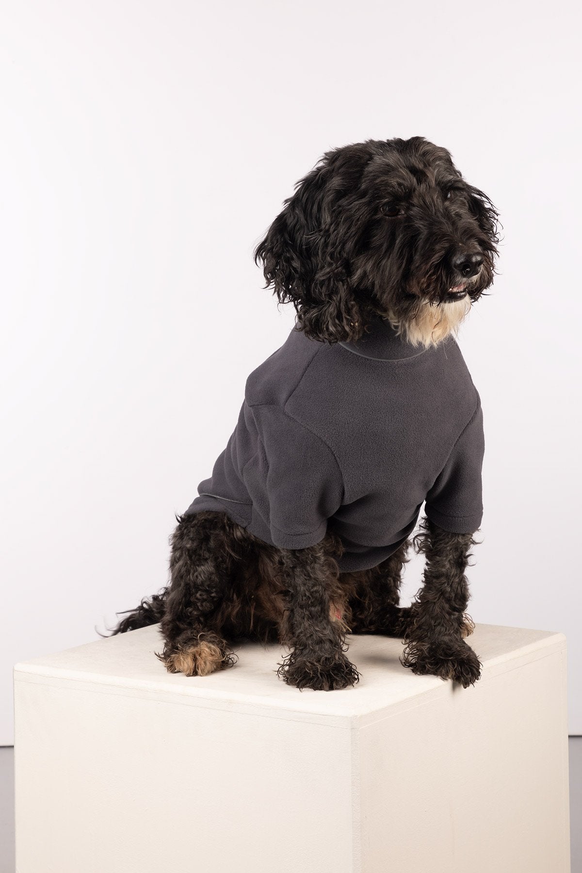 Rydale Fleece Dog Jumper - Yapham