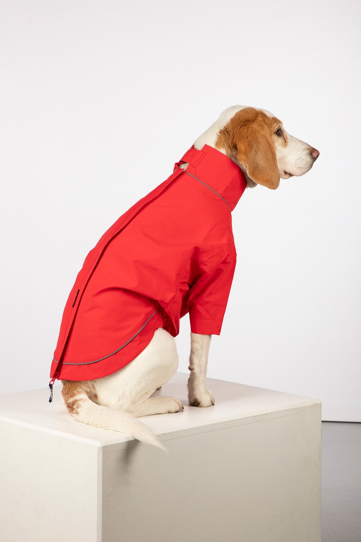 Rydale Dog Raincoats - Yapham