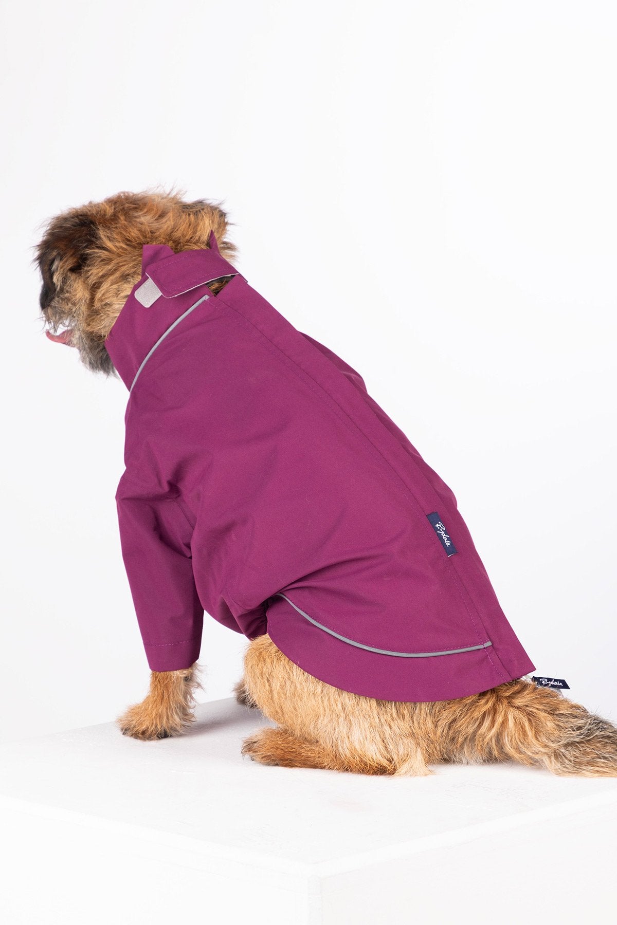 Rydale Dog Raincoats - Yapham