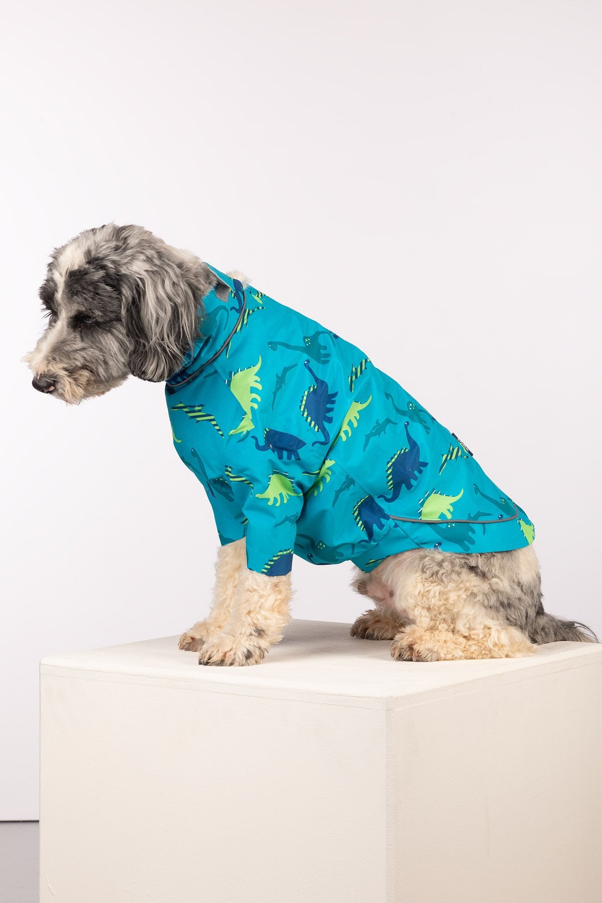Rydale Patterned Dog Raincoats - Yapham