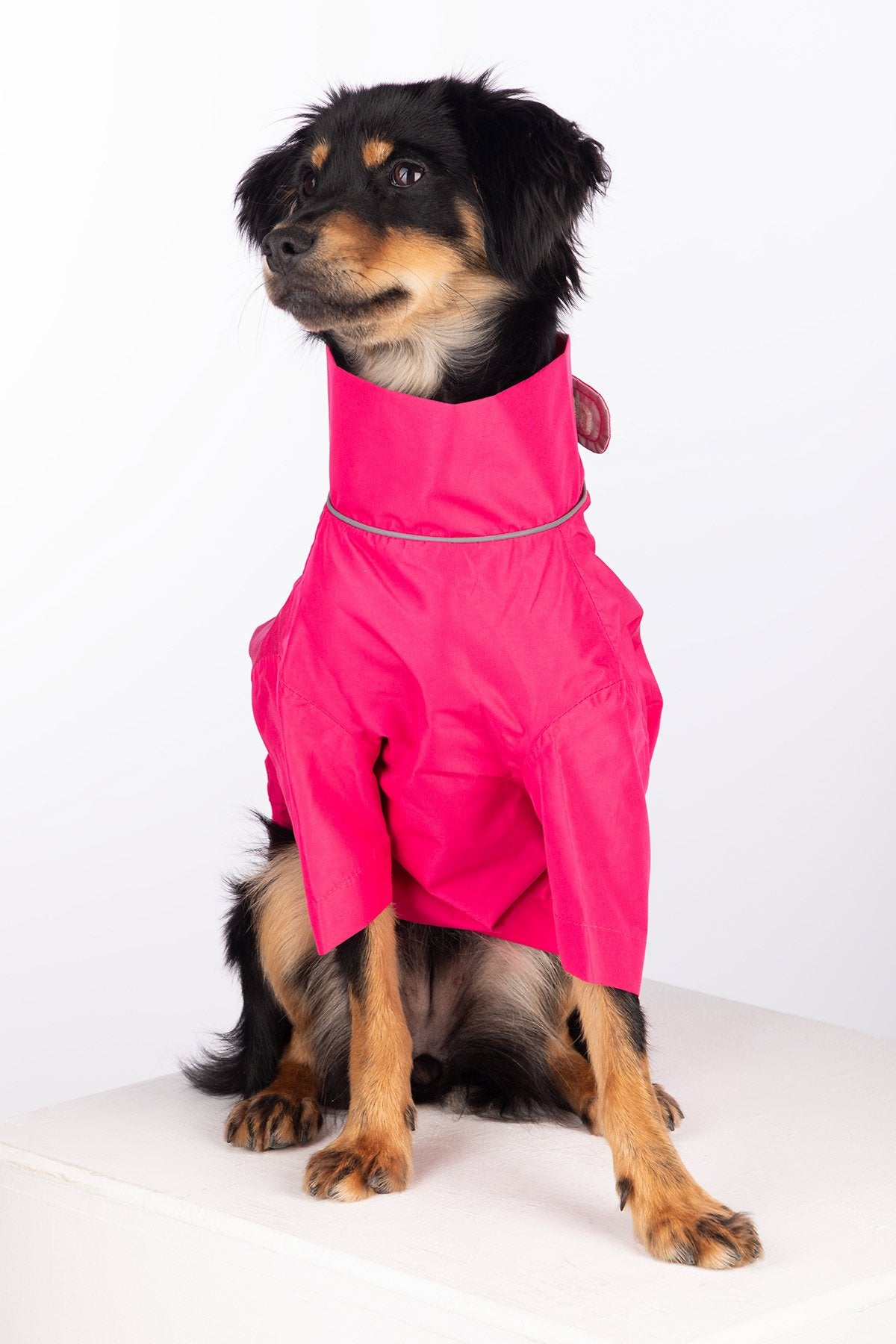 Rydale Dog Raincoats - Yapham