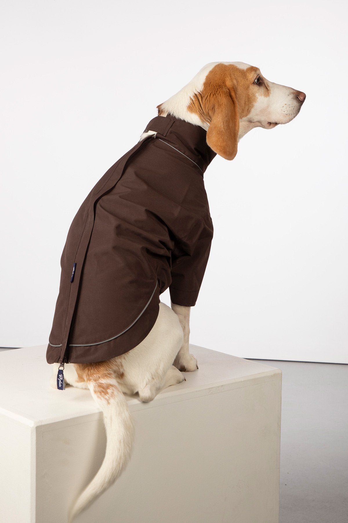 Rydale Dog Raincoats - Yapham
