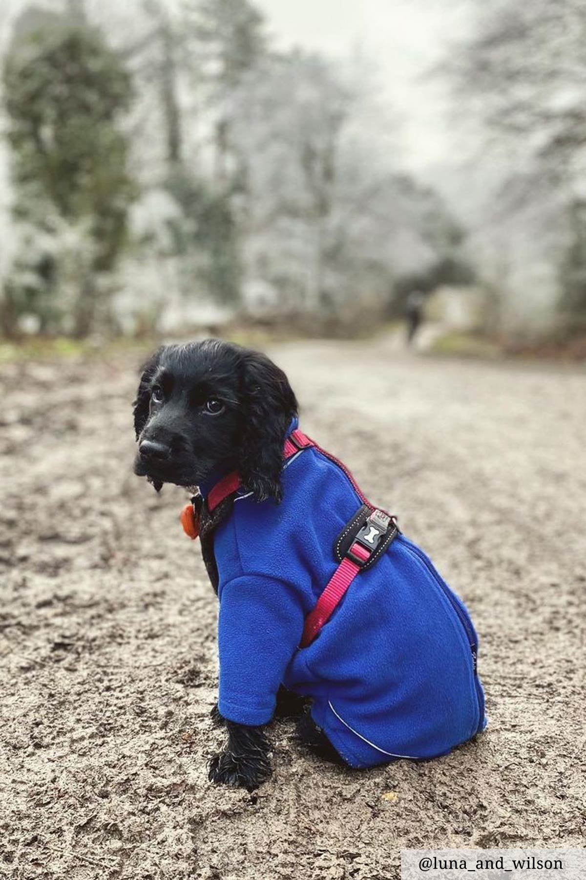 Rydale Fleece Dog Jumper - Yapham