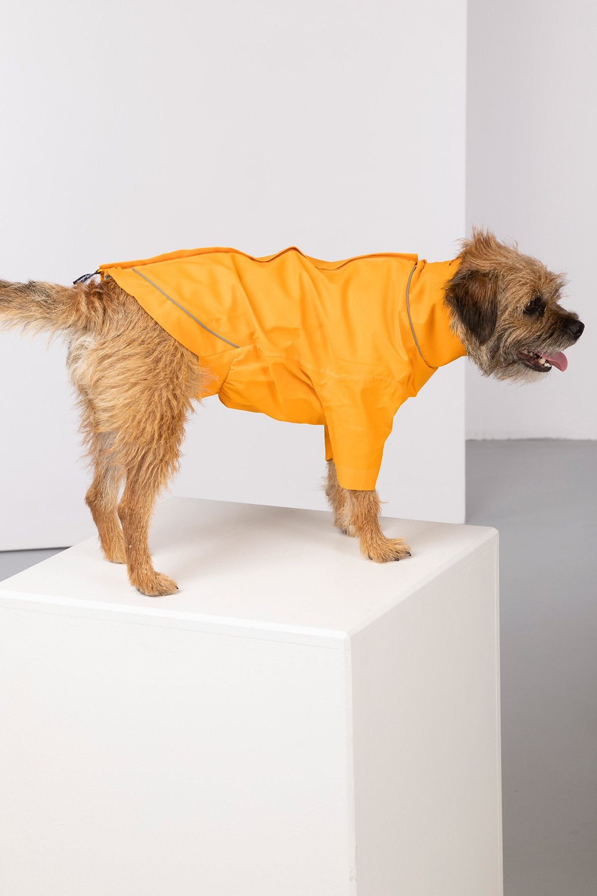 Rydale Dog Raincoats - Yapham