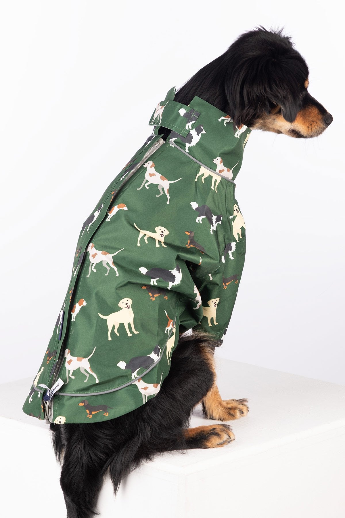 Rydale Patterned Dog Raincoats - Yapham