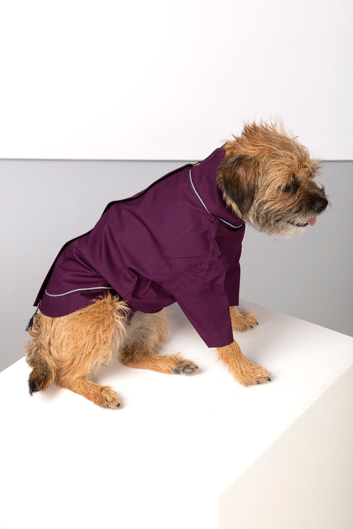 Rydale Dog Raincoats - Yapham