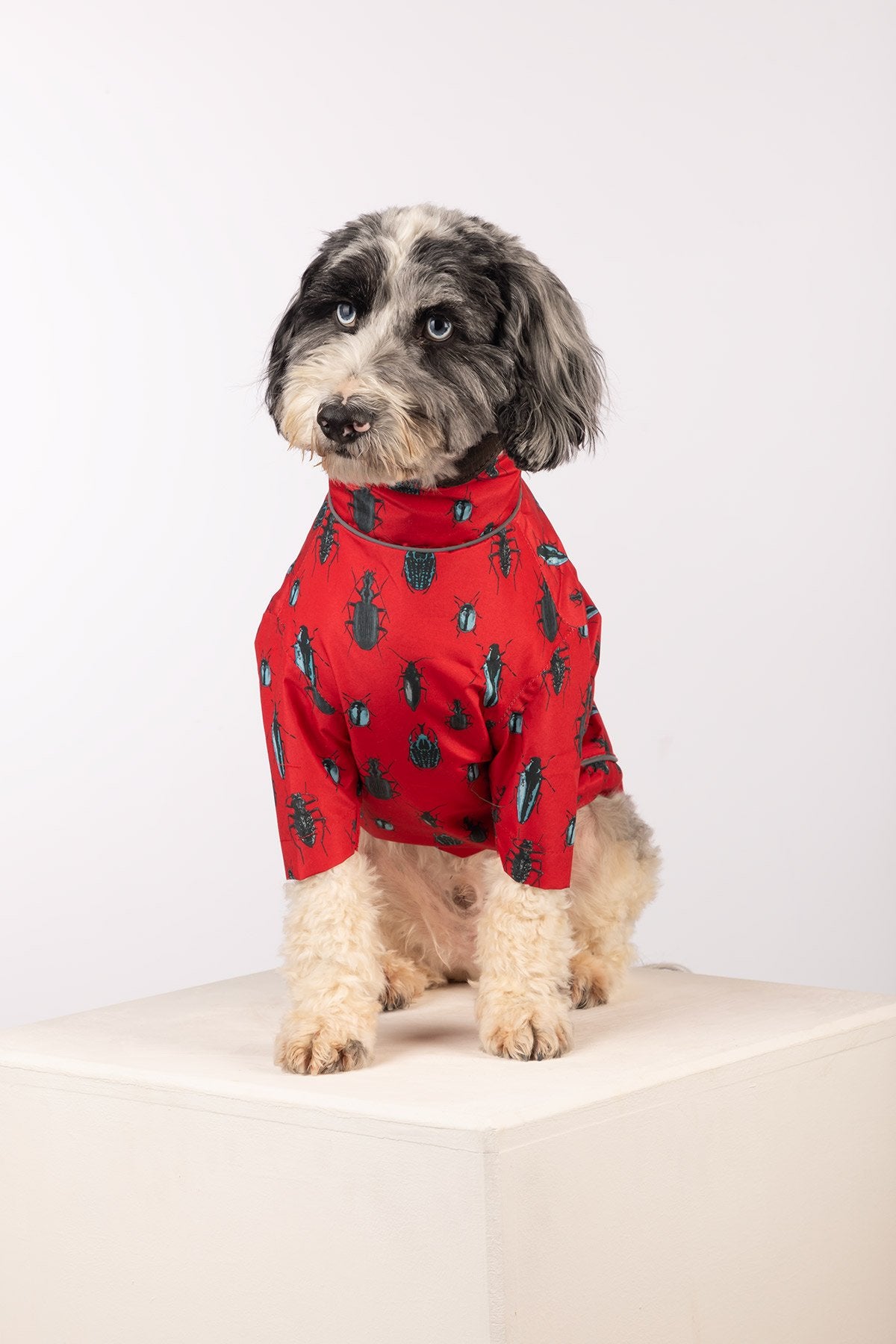 Rydale Patterned Dog Raincoats - Yapham