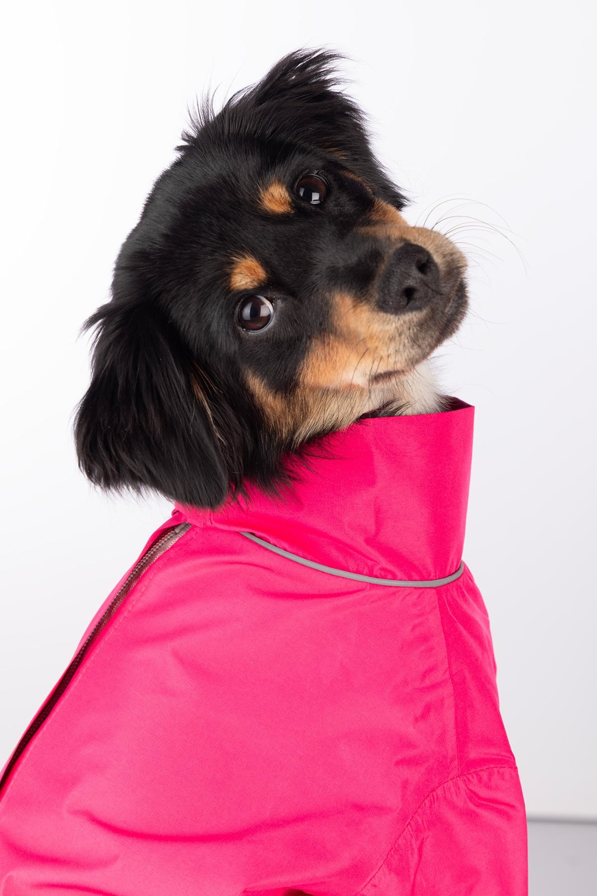 Rydale Dog Raincoats - Yapham