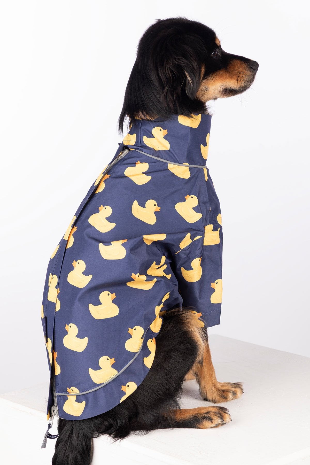 Rydale Patterned Dog Raincoats - Yapham