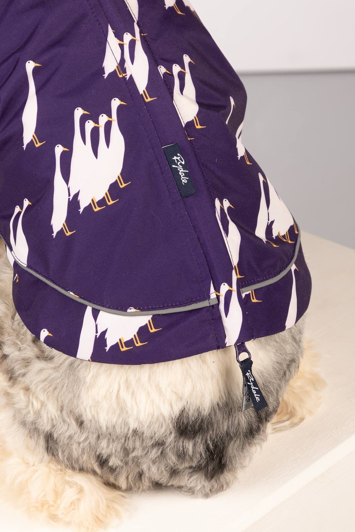 Rydale Patterned Dog Raincoats - Yapham