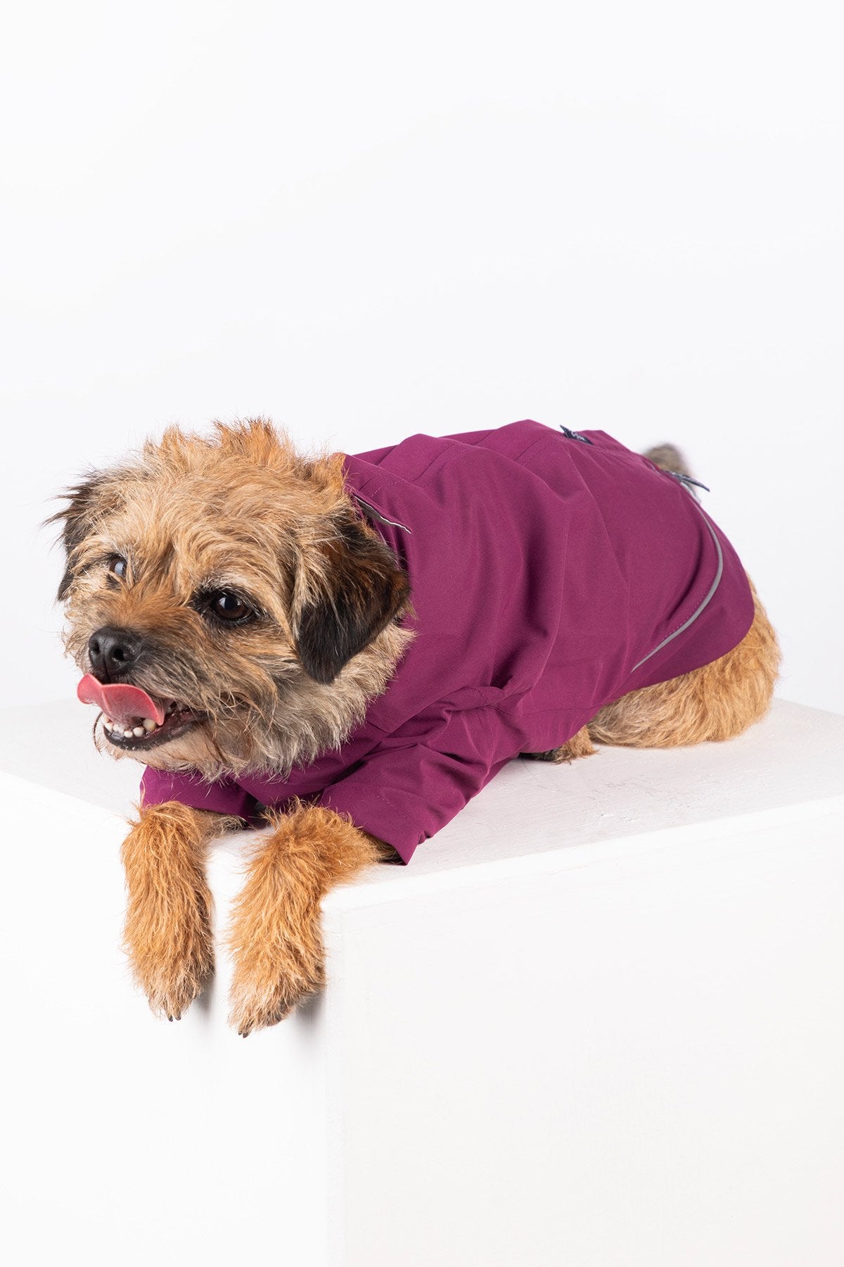 Rydale Dog Raincoats - Yapham