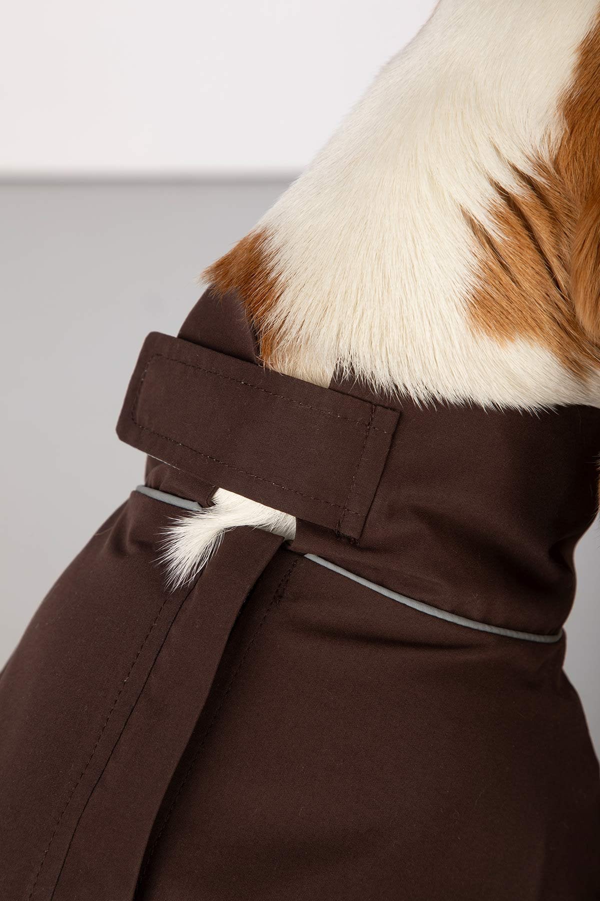 Rydale Dog Raincoats - Yapham