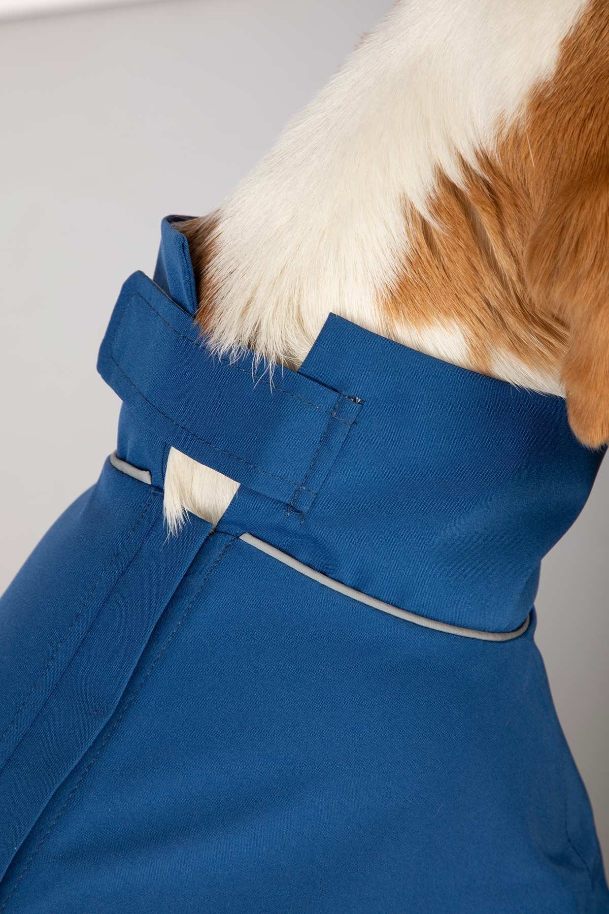 Rydale Dog Raincoats - Yapham