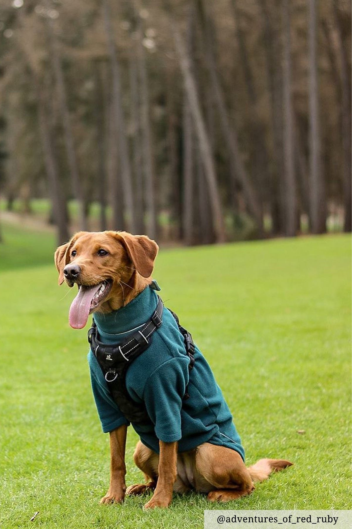 Rydale Fleece Dog Jumper - Yapham