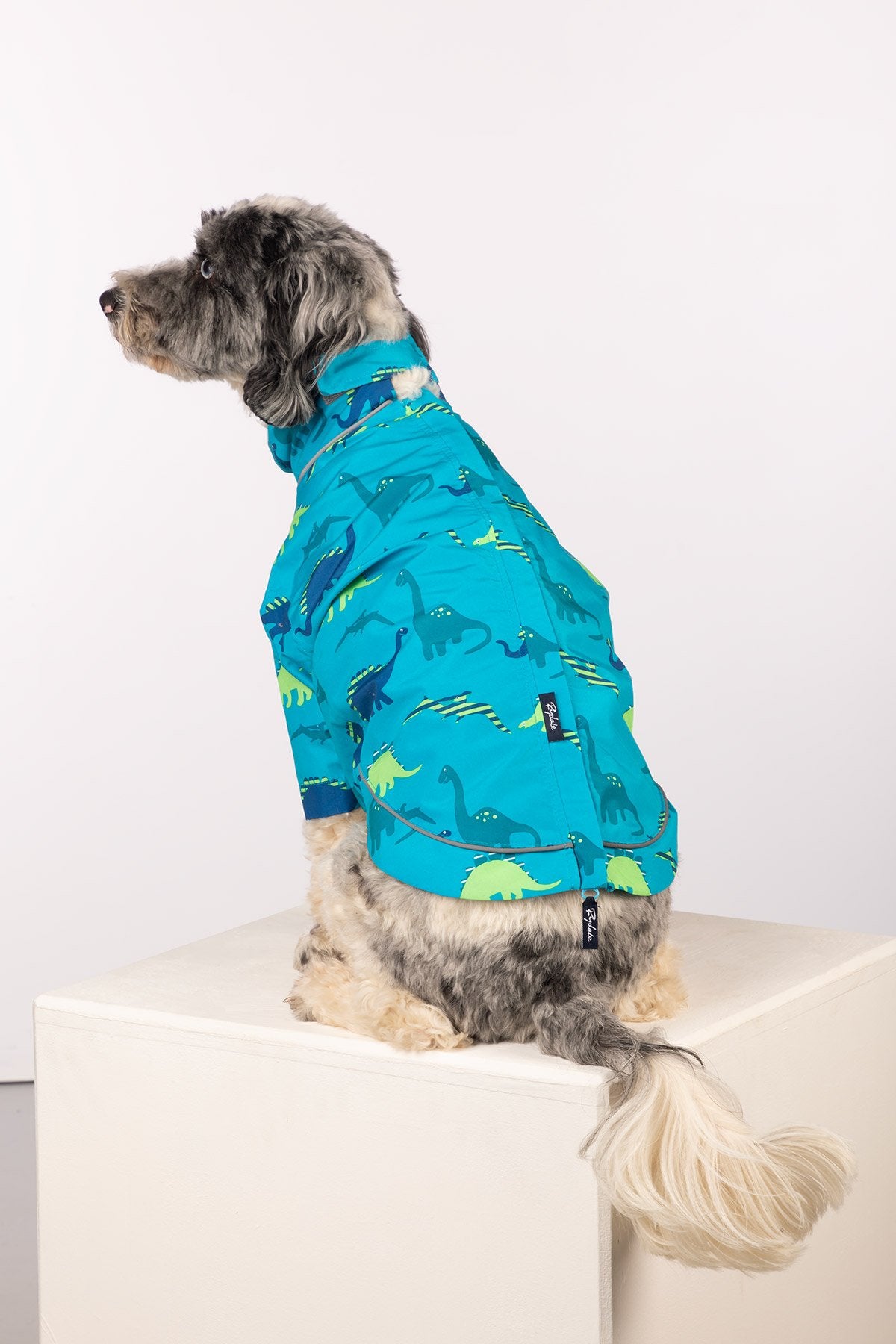 Rydale Patterned Dog Raincoats - Yapham