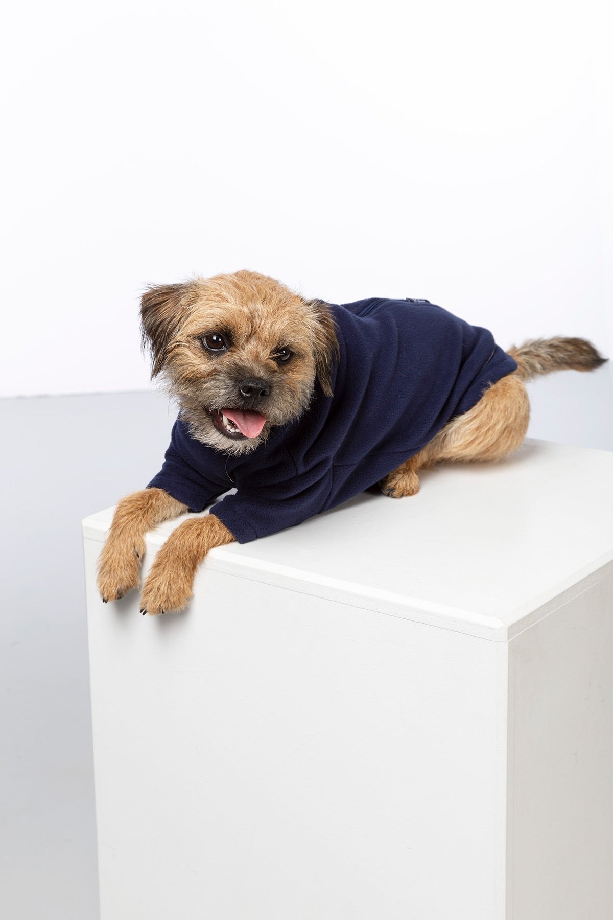 Rydale Fleece Dog Jumper - Yapham
