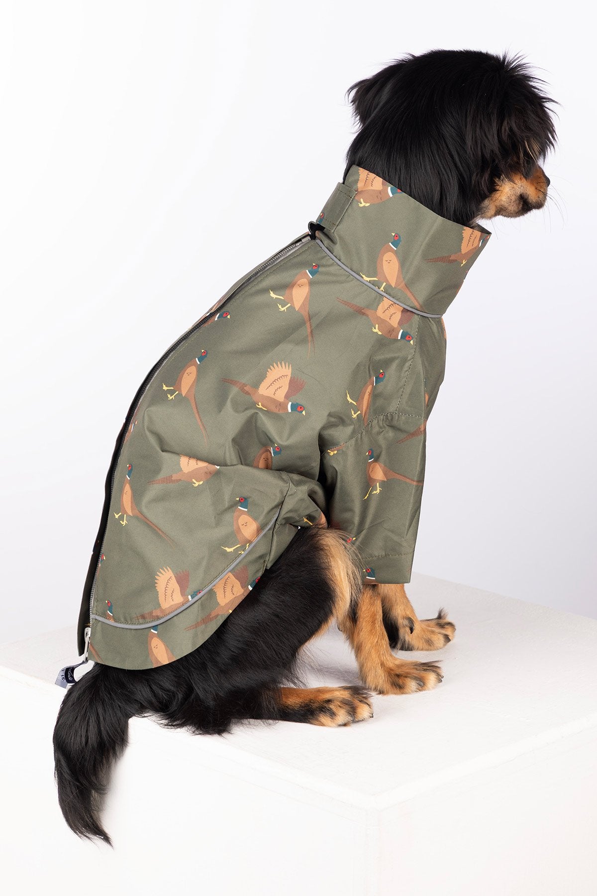 Rydale Patterned Dog Raincoats - Yapham