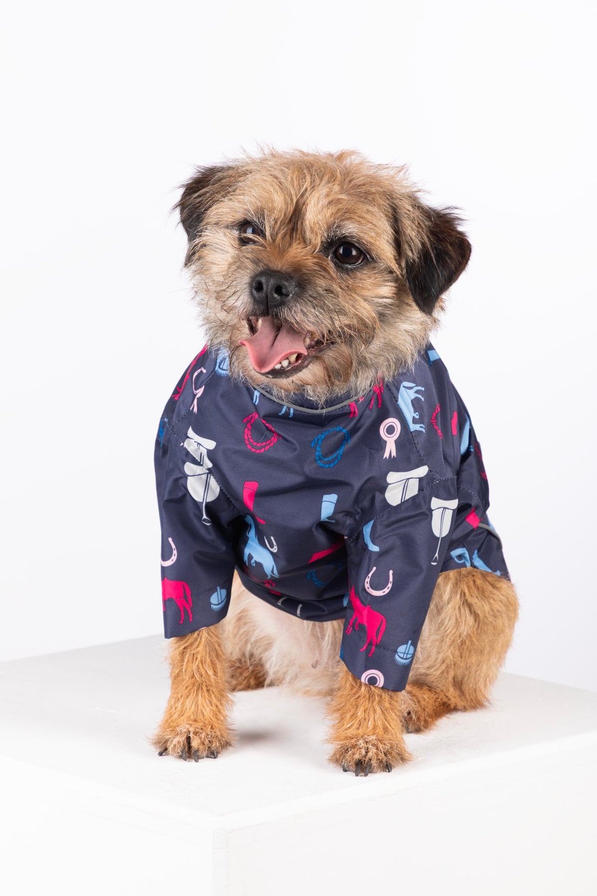 Rydale Patterned Dog Raincoats - Yapham