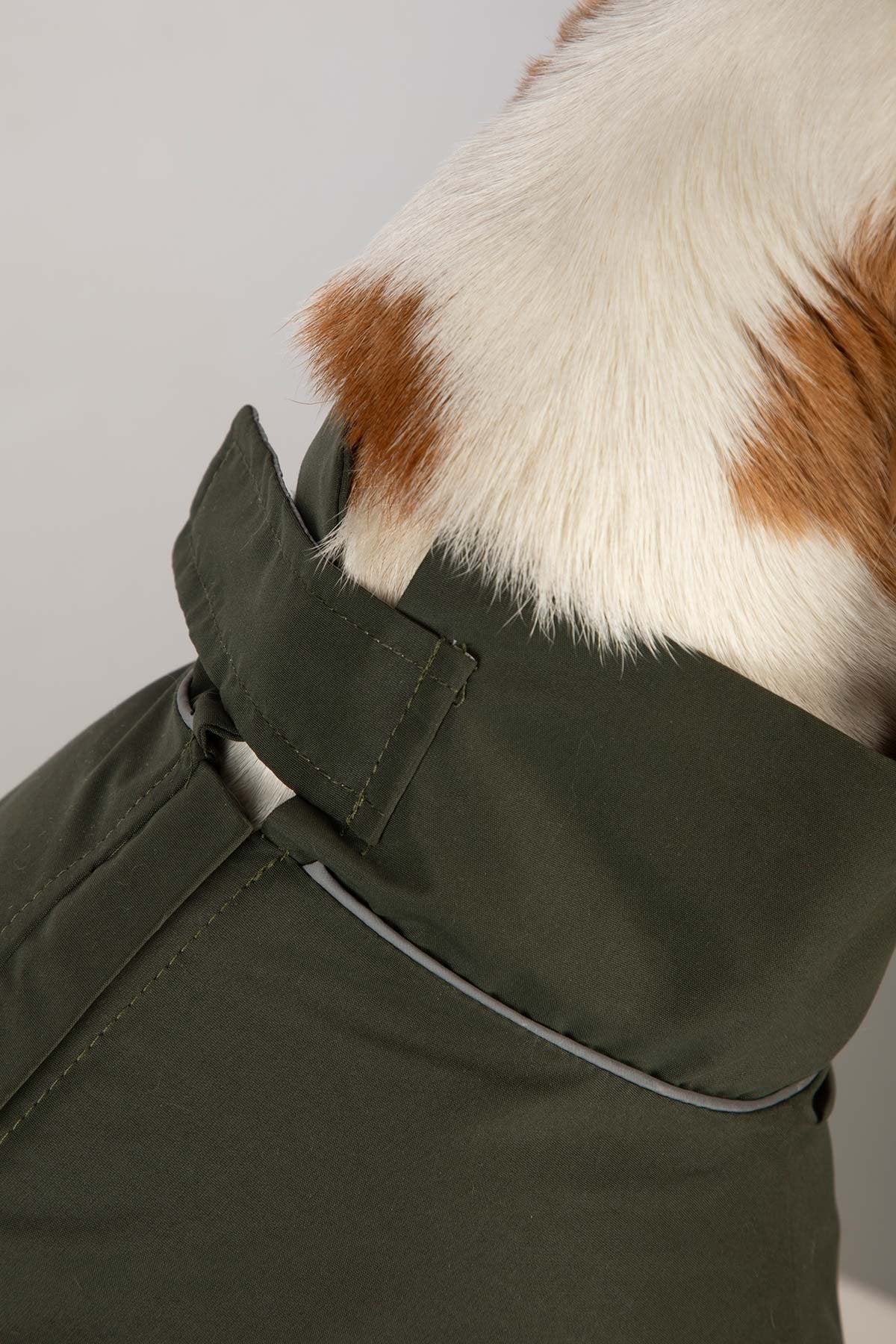 Rydale Dog Raincoats - Yapham