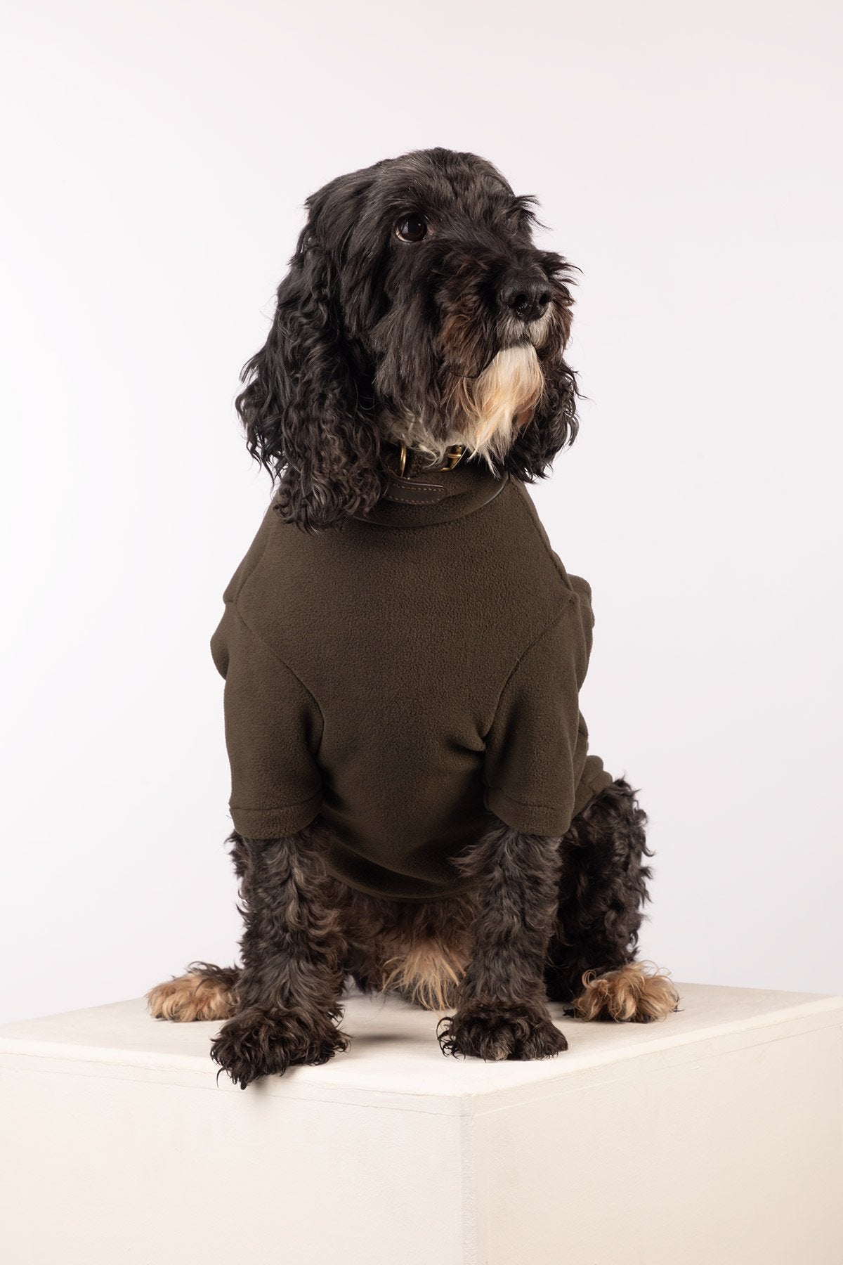 Rydale Fleece Dog Jumper - Yapham