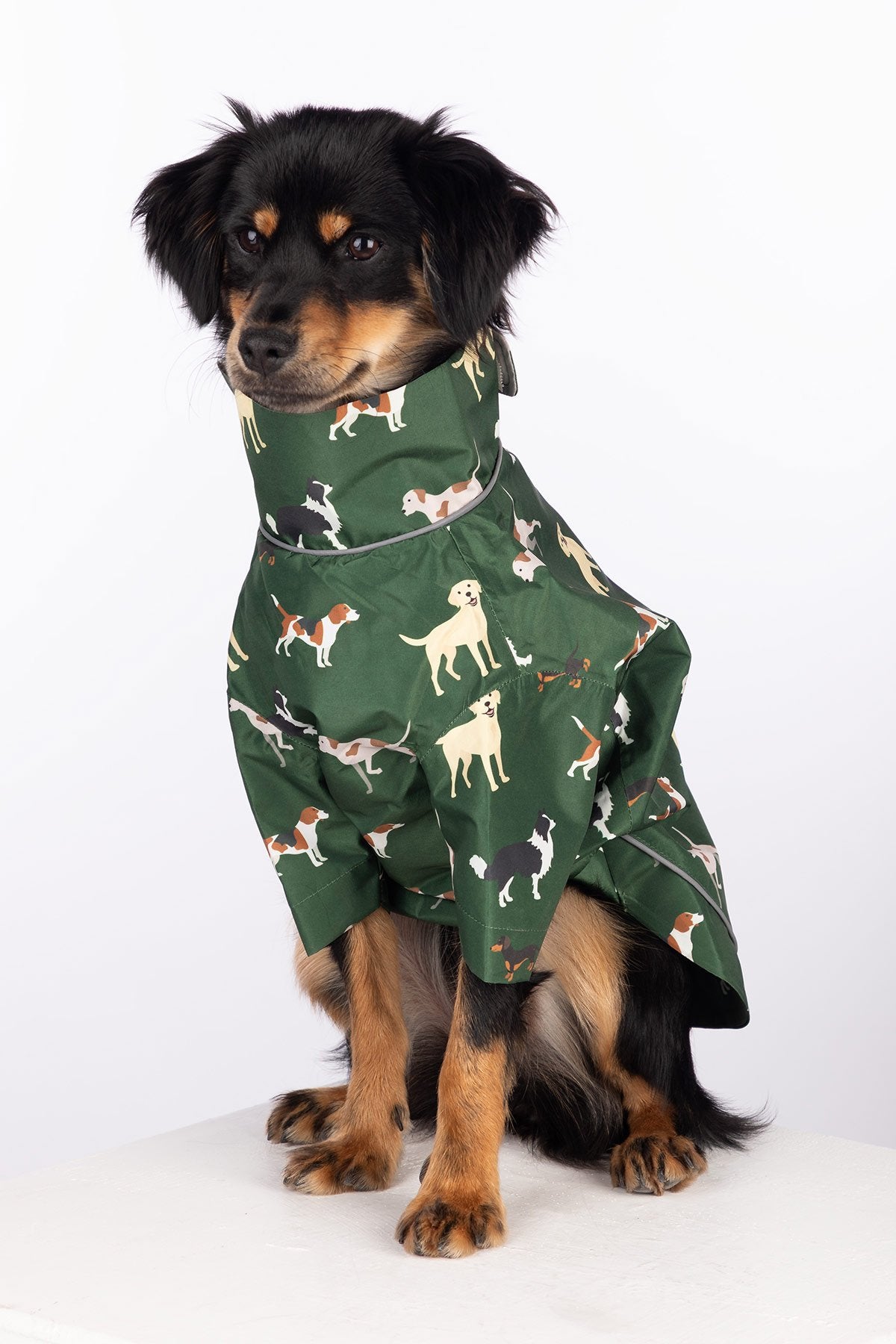 Rydale Patterned Dog Raincoats - Yapham