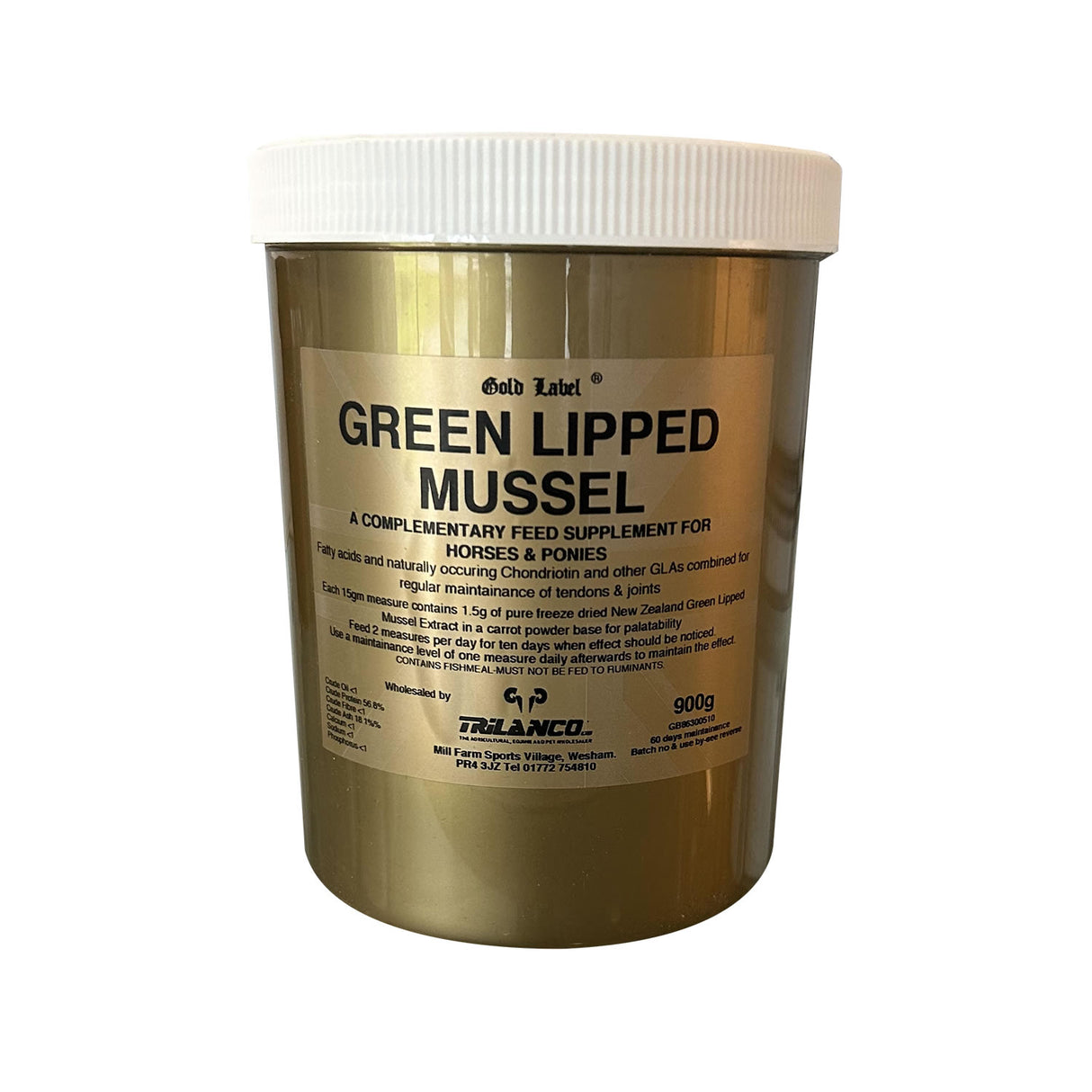 Gold Label Grünlippmuschel
