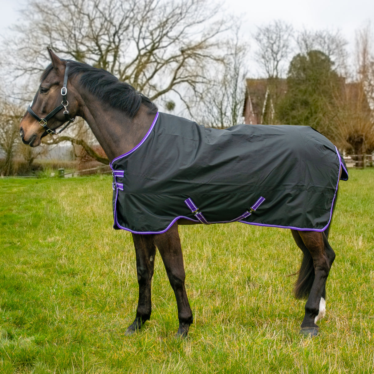 GS Equestrian 600D Waterproof Turnout Rug 100g