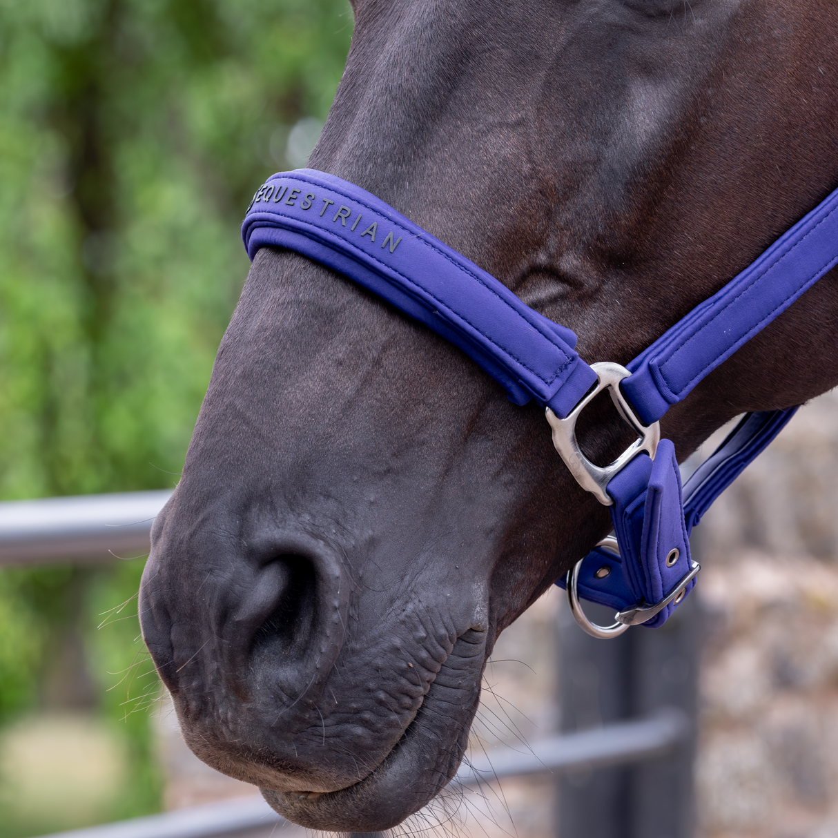 GS Equestrian & Country Revella Headcollar