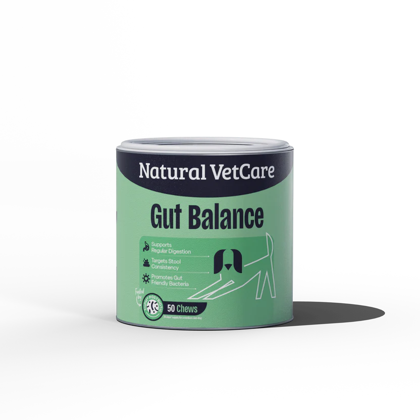 Natural Vet Care Gut Balance for Dogs