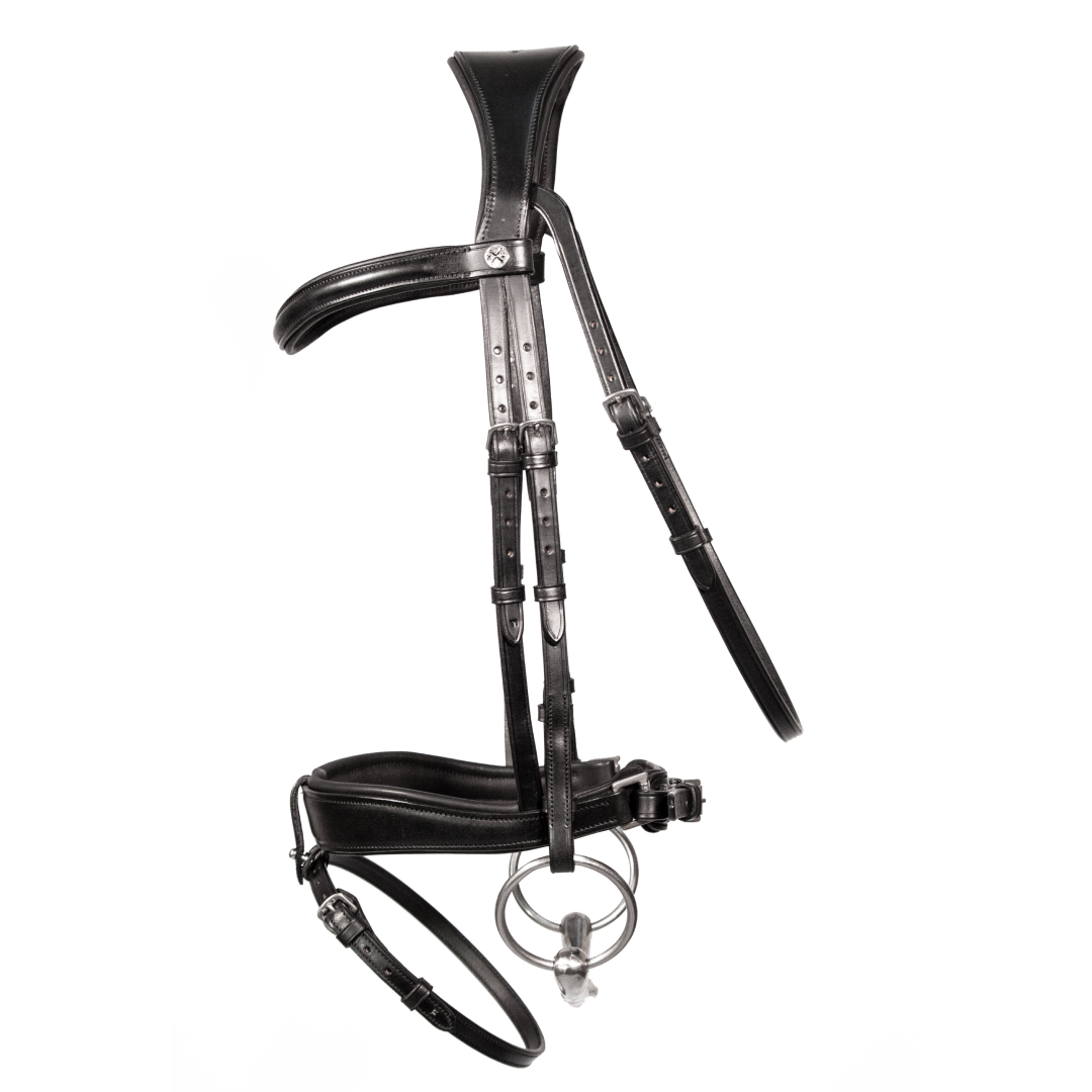 Henry James Dressage Bridle #colour_black