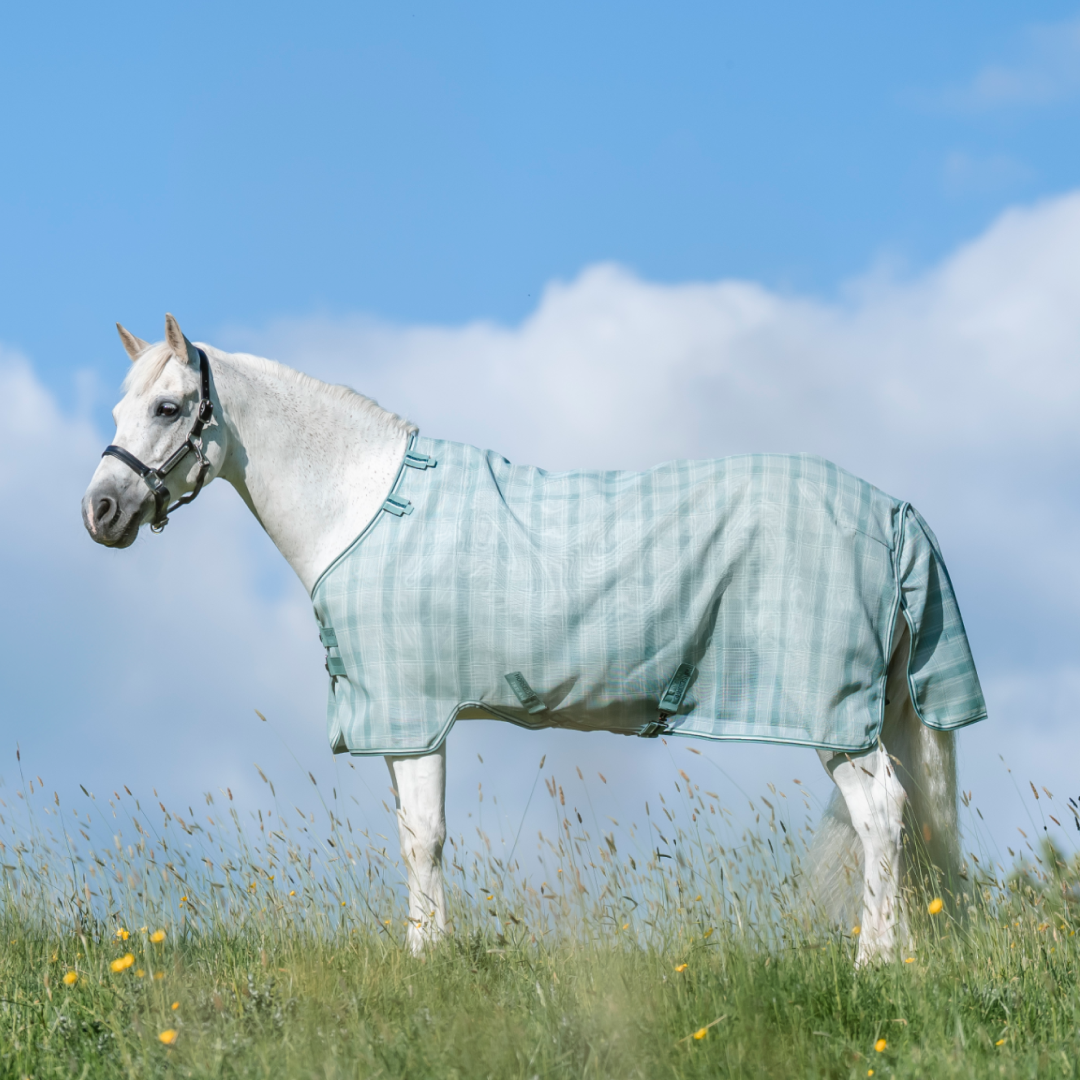Horseware Ireland Newmarket Pony Fly Sheet #colour_witney-dynstay