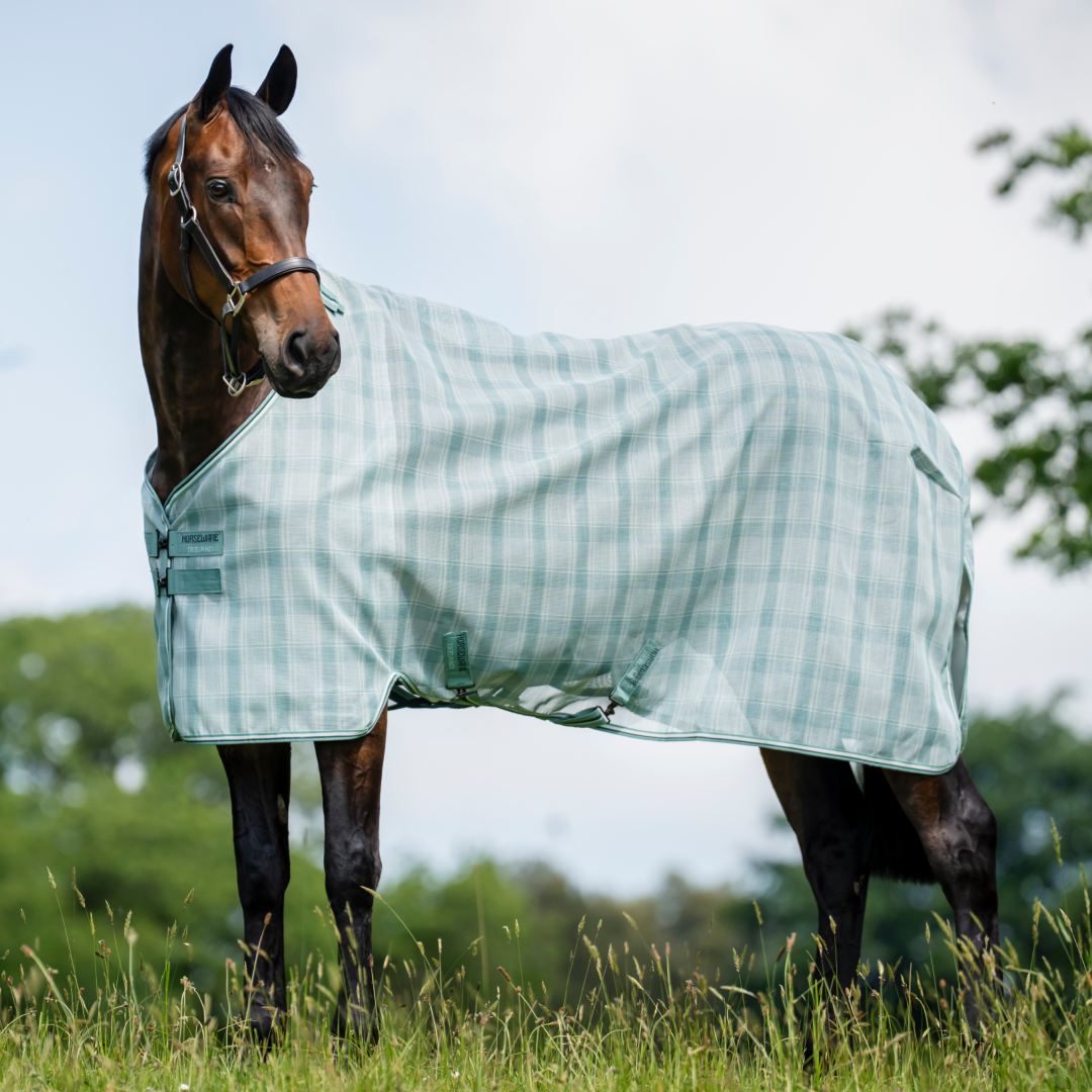 Horseware Ireland Newmarket Fly Sheet #colour_witney-dynstay