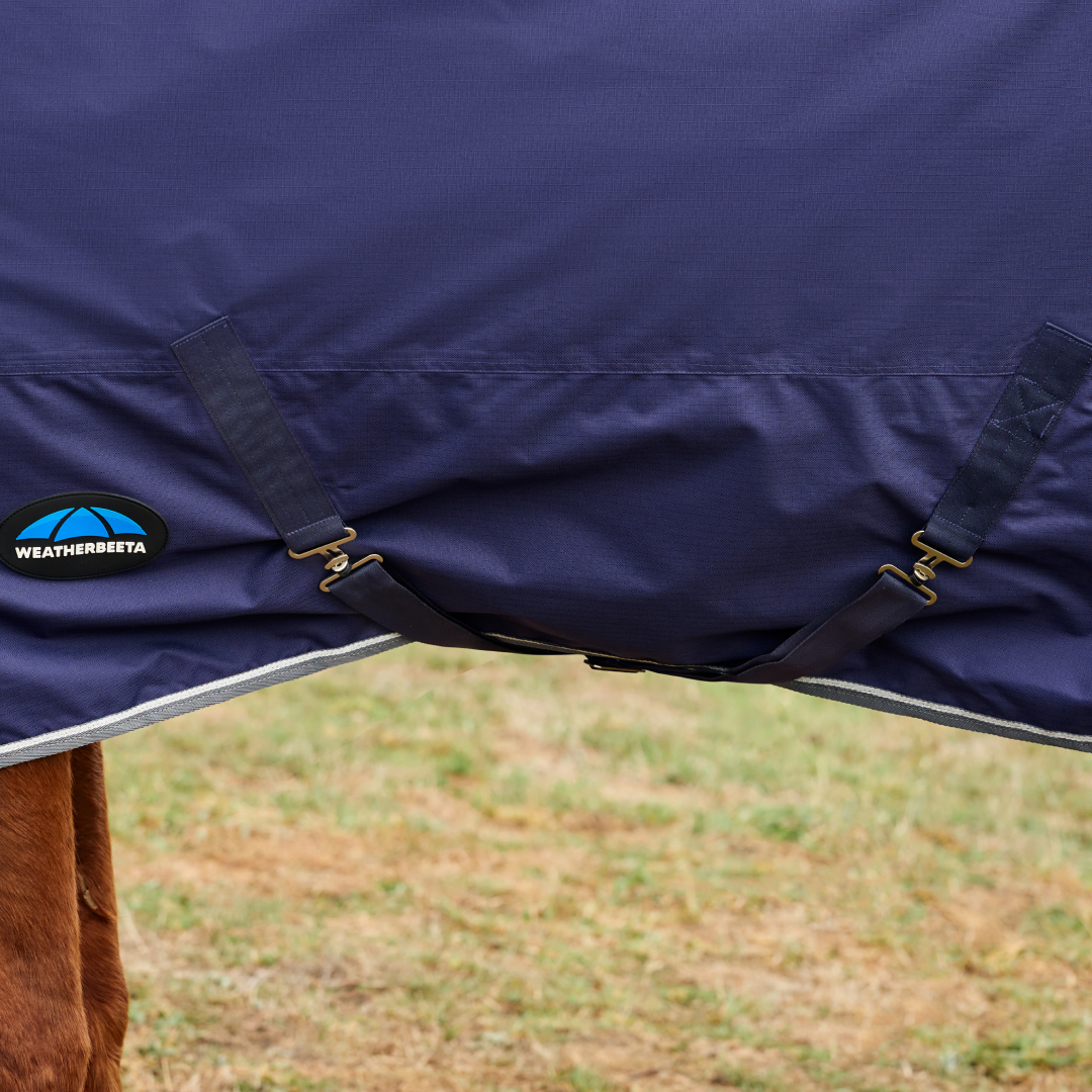 Weatherbeeta Comfitec Tyro 220G Standard Neck Turnout #colour_navy-charcoal
