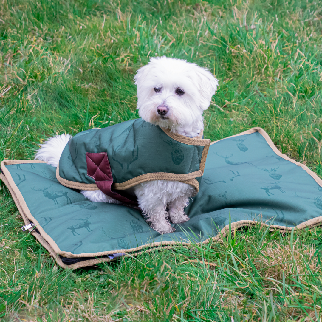 Benji & Flo Divine Deer Dog Coat