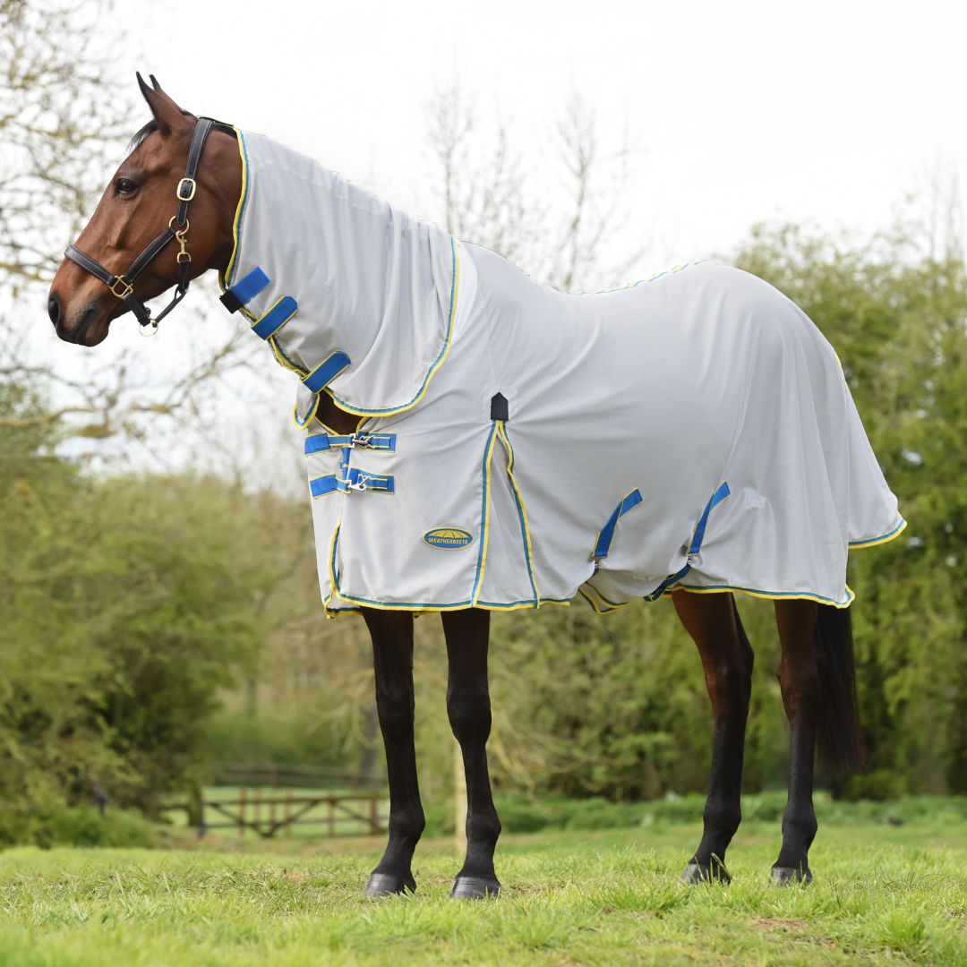 Weatherbeeta Comfitec Zephyr Plus Mesh Combo Neck – GS Equestrian